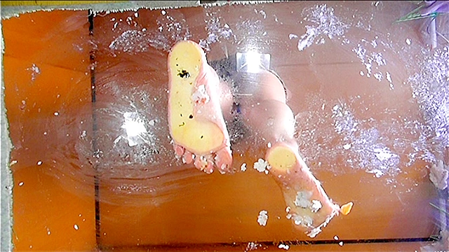 美希様がナマ足やハイヒールで踏んだ寿司を「完食ドレイ」に食べさせる！