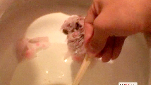 パスタ専門店のマネージャーが故障したトイレで排便する様子と焦っている様子を○撮した後に便器に残されたオシッコウンコも撮影した映像