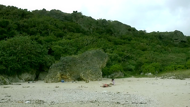 ヤーニンジュの島 保険金サギ師ミカヨ