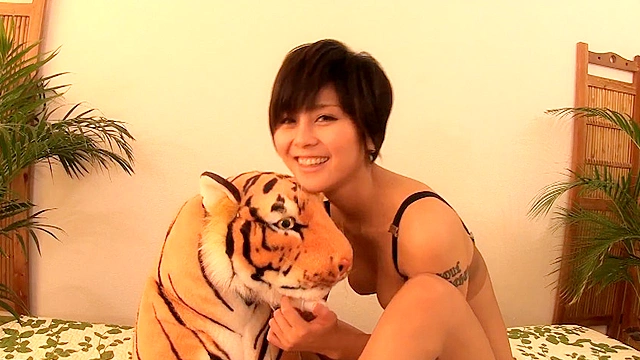 タイガーレッグ3