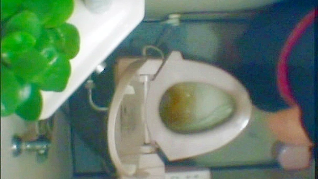 ピンホールカメラでトイレを覗く VOL.1