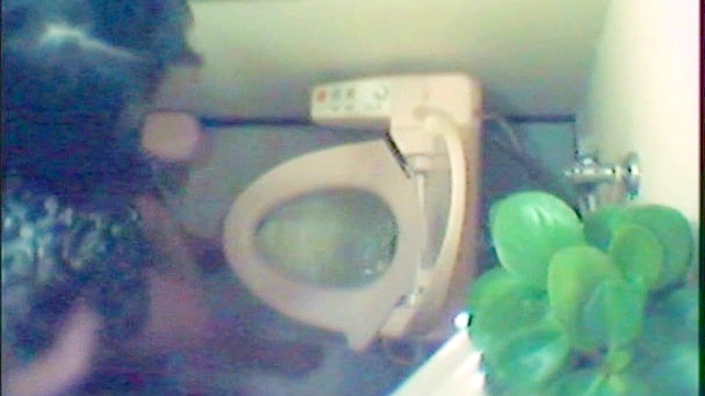 ピンホールカメラでトイレを覗く VOL.1