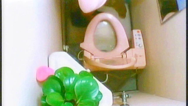 ピンホールカメラでトイレを覗く VOL.1