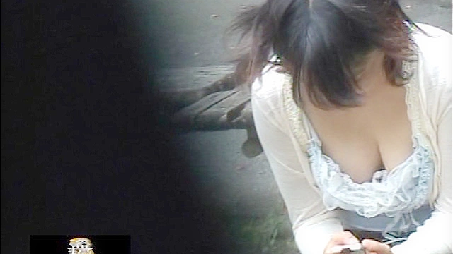 街角ハプニング！お嬢さん乳首見えてますよ！2 ～究極のチラリズム～
