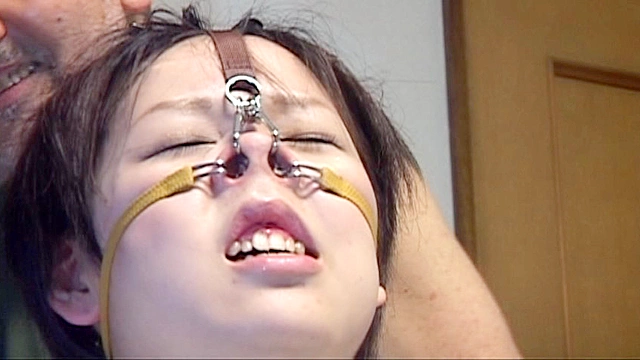 THE NOSE COLLECTION-4 ～ロ○鼻盛り耽美会2～