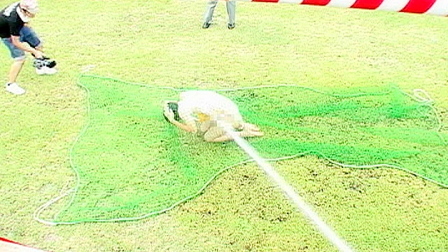 男だらけの大運動会2（開会式～第一競技 第1レース）