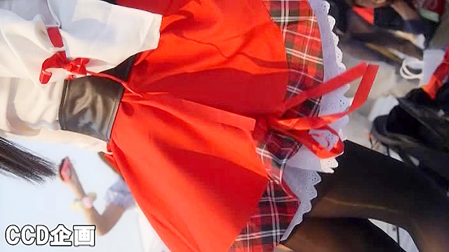 魅惑のコスプレイヤー40