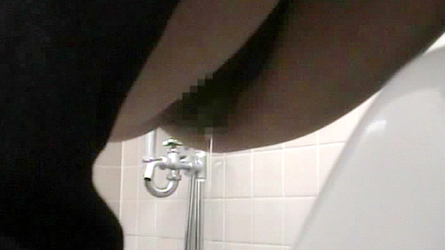 女子トイレの中を覗きたくて○撮してみました。