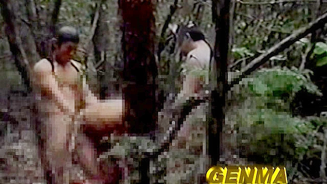 標的捕獲（ターゲット）ナイトゲーム