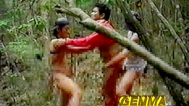 標的捕獲（ターゲット）ナイトゲーム