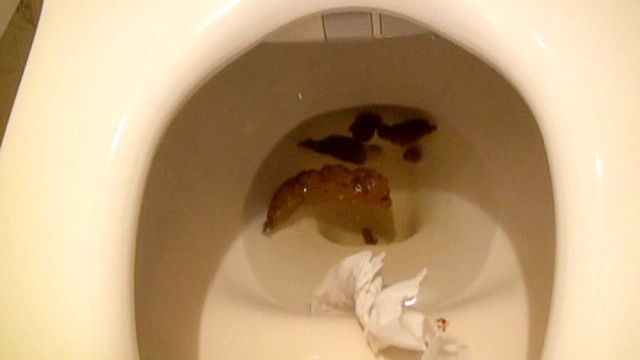 今日のうんこ3