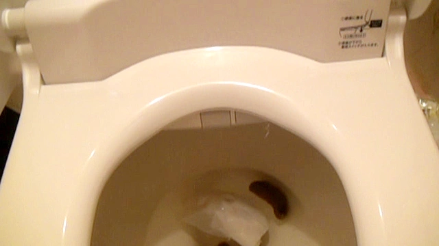 今日のうんこ3