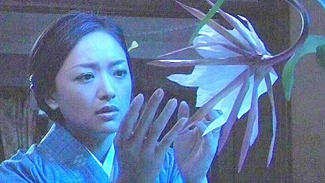 月下美人 ～追憶～