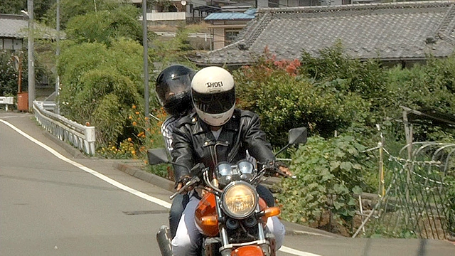 青春H 狼の時代
