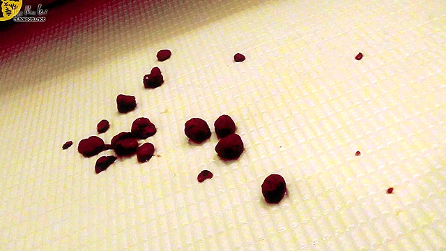 懇願！正座うんこ5