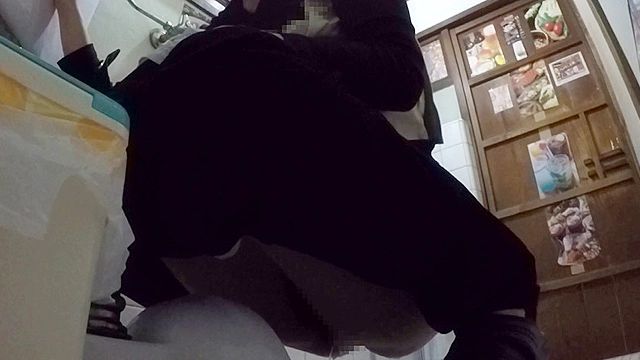 排泄映像