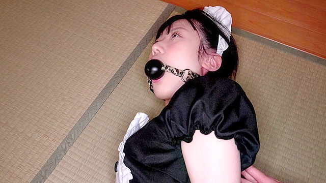 囚われてしまったグラビアアイドル 4