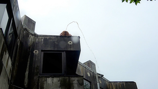 後藤結愛の鬼●スカトロ惨歩
