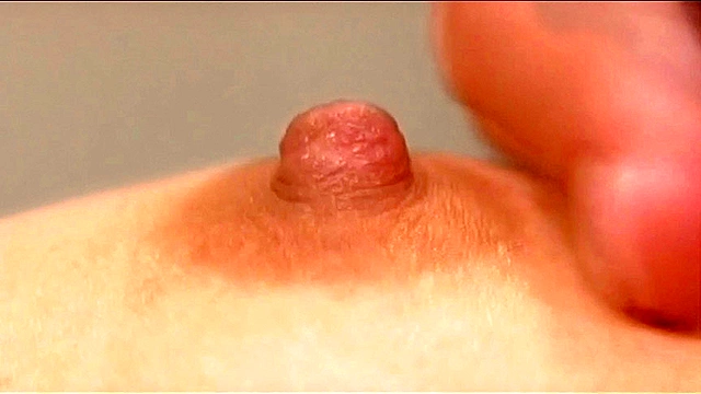 おっぱいざんまい