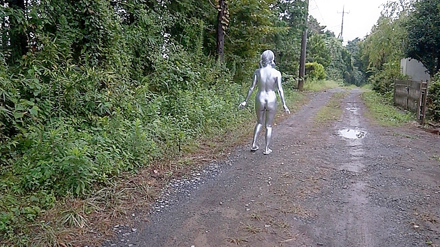 SILVER PAINTING012