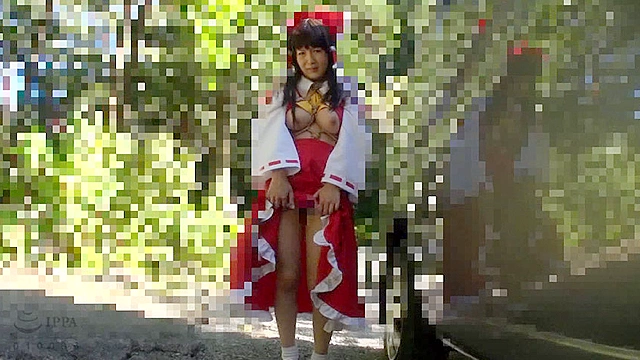 コスプレイヤー野外性交PREMIUM BEST2枚組6時間