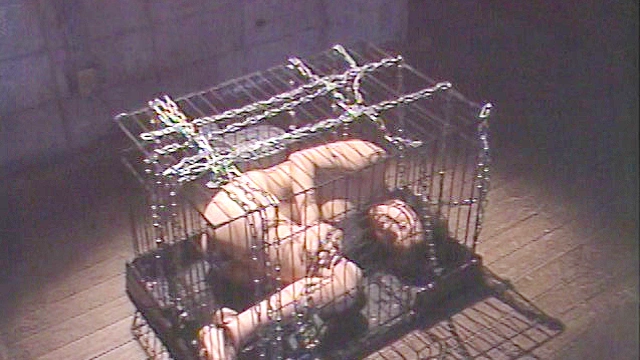美肉の宴の色情鬼