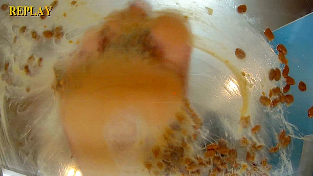 臭いそうな素足で、納豆をネバネバにこねくりまわすドSなOL