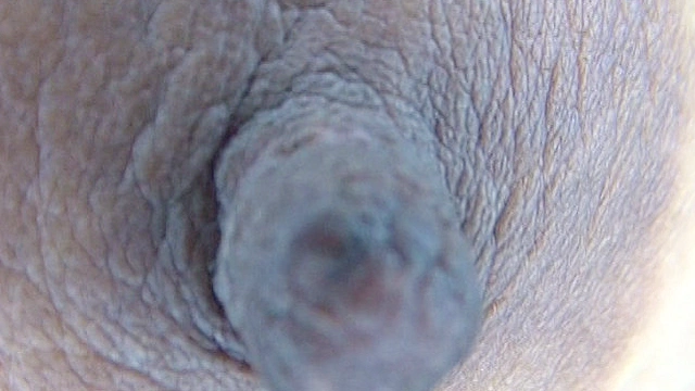 100人の乳首 第5集
