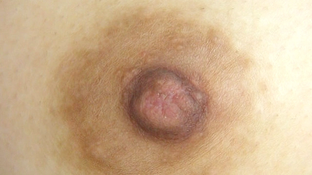 100人の乳首 第5集