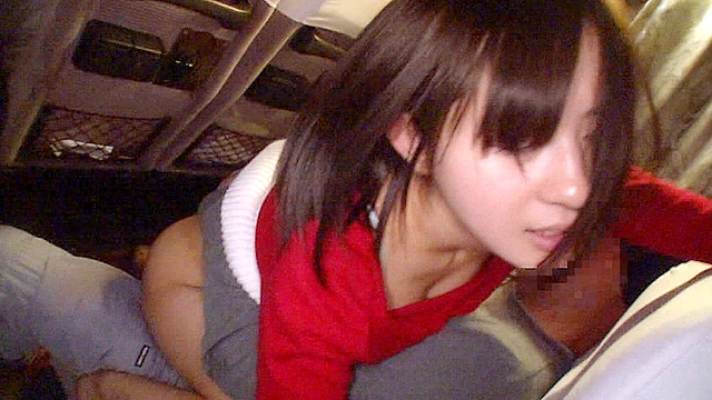 夜行バスで声も出せずイカされた隙に生ハメされた女はスローピストンの痺れる快感に理性を失い中出しも拒めない3