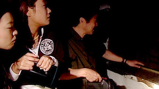 稲川淳二 真相・恐怖の現場 ～禁断の地、再び～ VOL.1 神の聖域！祟られた家 呪怨！呪縛トンネル