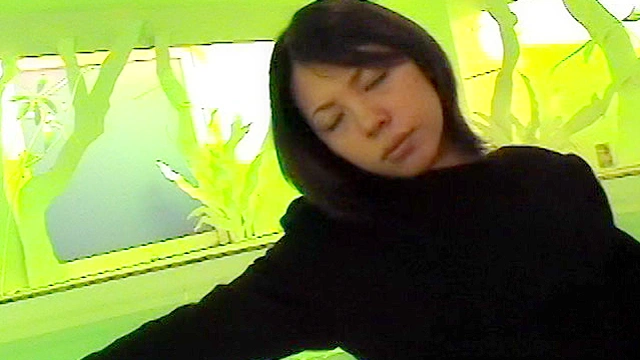 気ままな水遊び