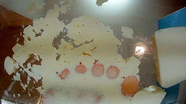 足の角質が綺麗に取れるほど豆腐を踏みまくるドSなOL