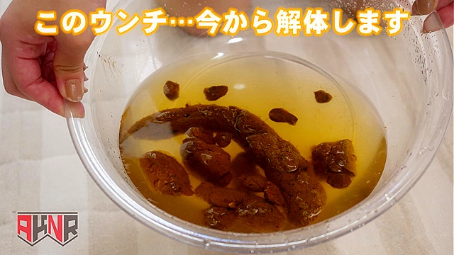 今日たくさんウンチでるかな…