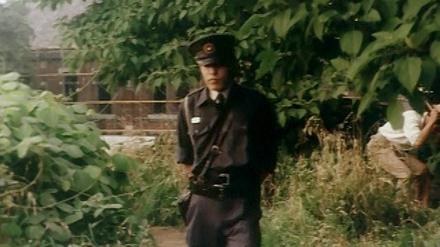 ドキュメントポルノ 続 痴○