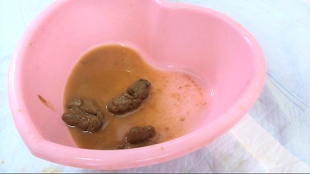 うんこパラダイス