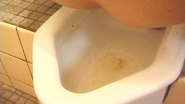 大便法典19
