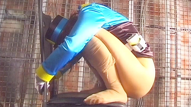 大便法典19