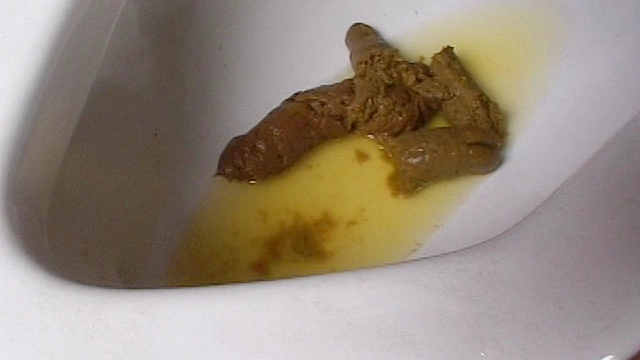 熟女糞13