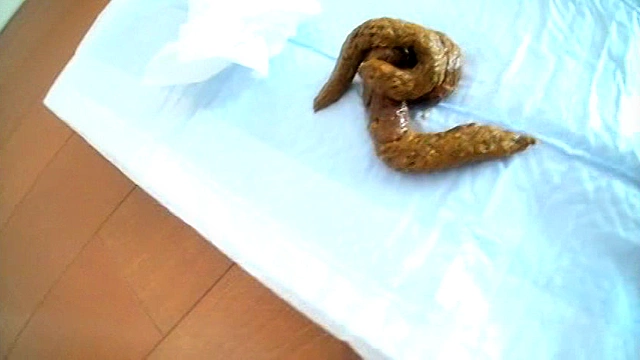 AVなんて無理！処女だし‥そんなお嬢様がなぜかOK！ うんこならいいよ 自画撮り脱糞