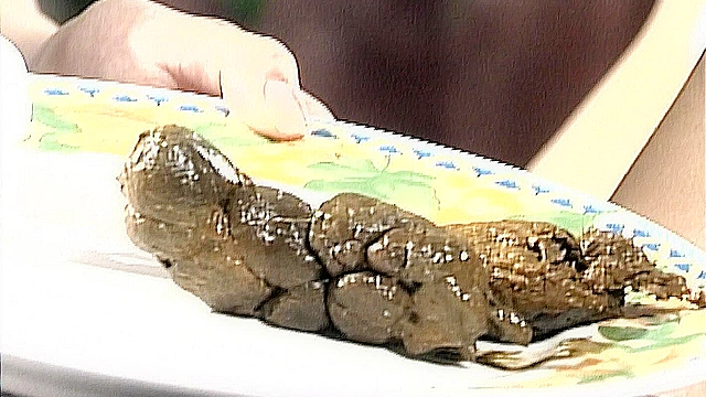 排便シスター1 お姉様のウンチが・・（5台マルチカメラ収録）