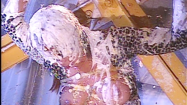 巨乳のうめき 悦びのふるえ 真木いづみ