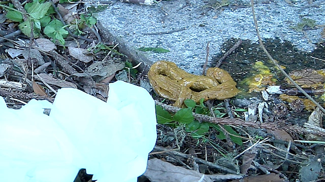 脱糞○撮03 海の家の裏で我慢しきれず脱糞 3名