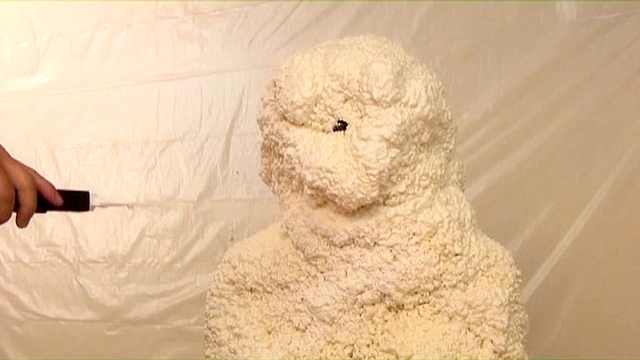 Urethane Foam