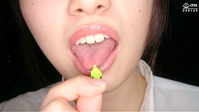 「激カワ美女 江澄ゆゆチャンの超マニアックな口腔・のどちんこ・舌ベロ観察プレイ」江澄ゆゆ