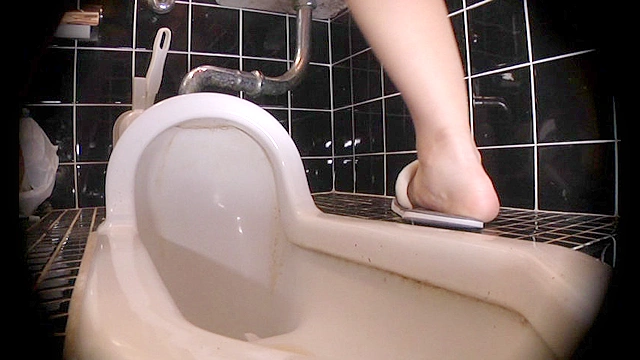 民家のトイレに半年間無線型ビデオカメラ設置！脱糞小便トイレ○撮