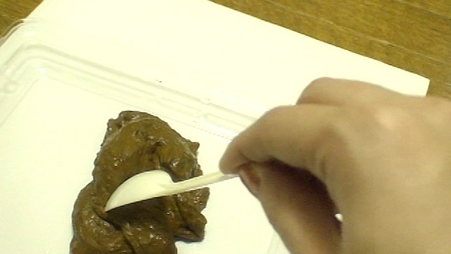 糞一週間