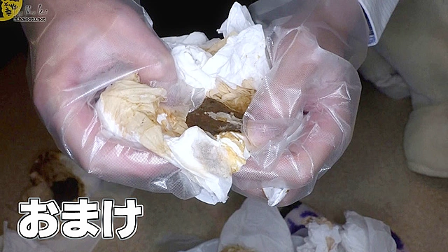 実録・面接に来た女に下剤を飲ませ排泄姿を覗いた上、ウンコを採取してみた。9
