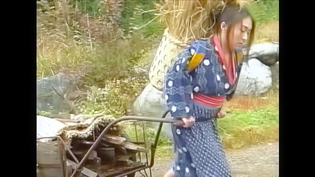 リアリスティックポルノグラフィティ 愛と激情と感動の昭和AV AOFA総集編