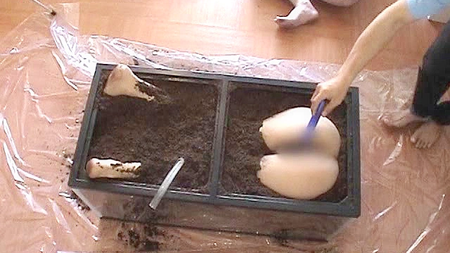 土の中